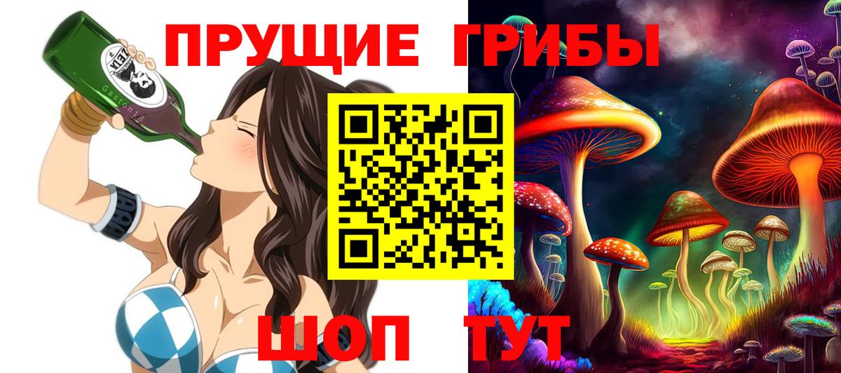 Галлюциногенные грибы ЛСД  Псилоцибиновые грибы мицелий  Пенза  Вход с VPN 